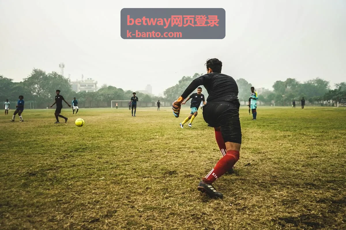 betway网页登录验证码收不到处理方案配图
